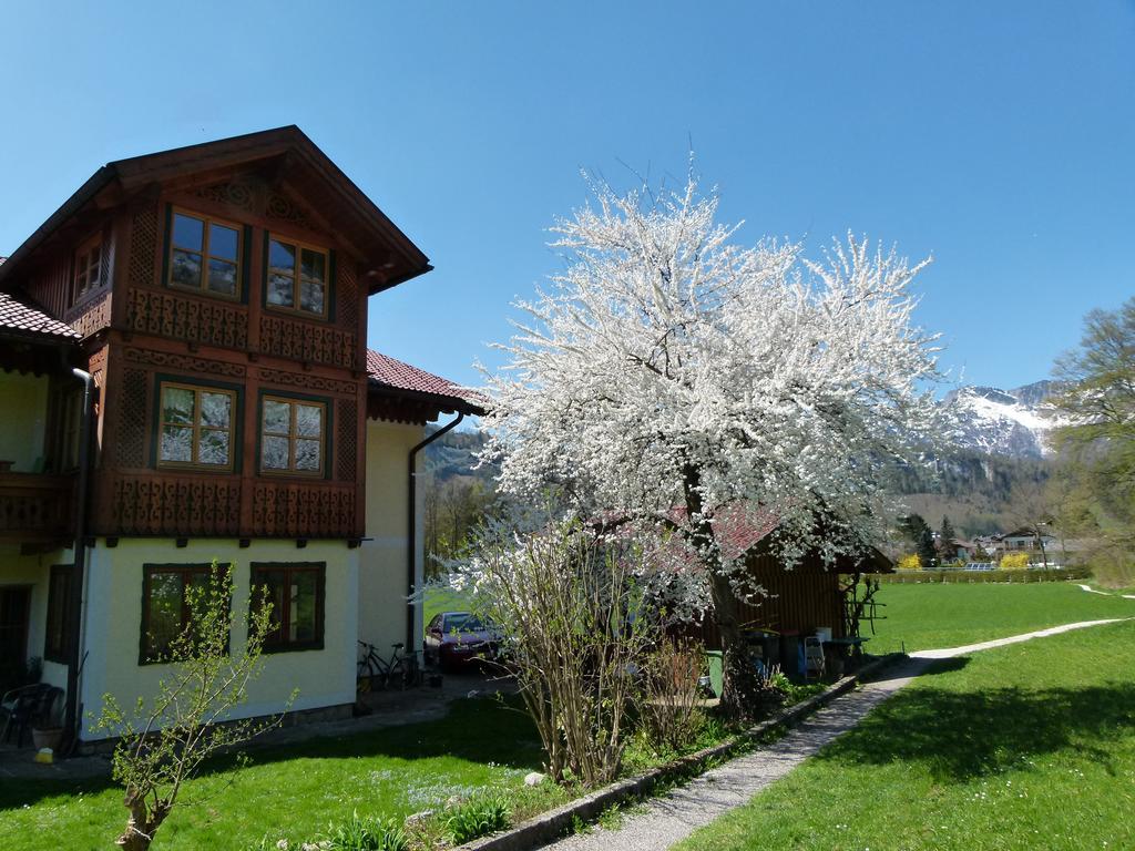 Haus Puntigam Apartment Bad Goisern Exterior photo